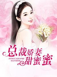 总裁娇妻甜蜜蜜封面