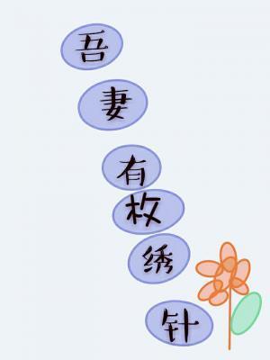 吾妻有枚绣花针封面