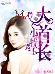 大首长，小特工封面