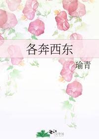 各奔西东封面