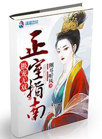 极纵无双之正室指南封面
