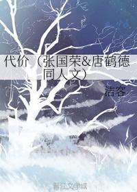 代价（张国荣唐鹤德同人文）封面