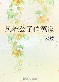 风流公子俏冤家封面