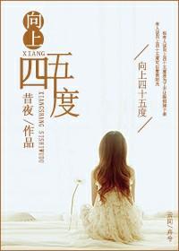 向上四十五度封面