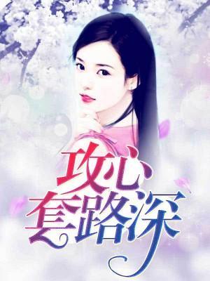 攻心套路深封面