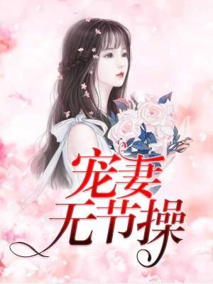 宠妻无节操封面