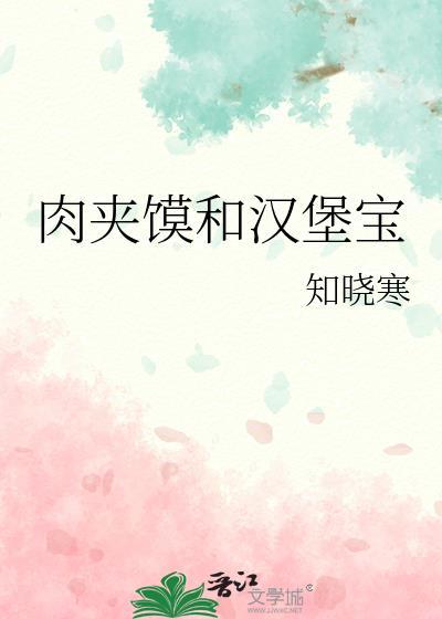肉夹馍和汉堡宝封面