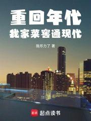 重回年代我家菜窖通现代封面
