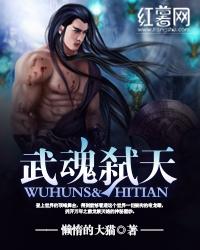 武魂弑天封面