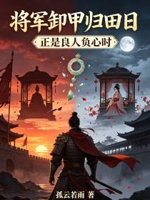 《将军卸甲归田日，正是良人负心时》封面