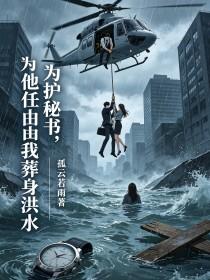 《为护秘书，他任由我葬身洪水》封面