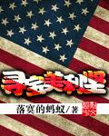 寻宝美利坚封面