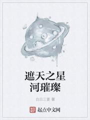 似他星河璀璨封面