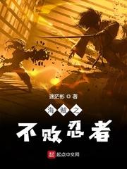 海贼之不败忍者封面