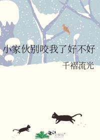 小家伙别咬我了好不好封面