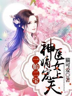 一胎二宝:神医嫡女宠上天封面