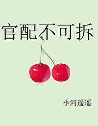官配不可拆[穿书]封面