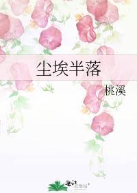 尘埃半落封面