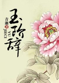 玉阶辞封面
