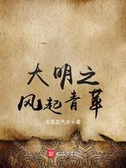 大明之风起青苹封面