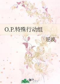 O.P.特殊行动组封面