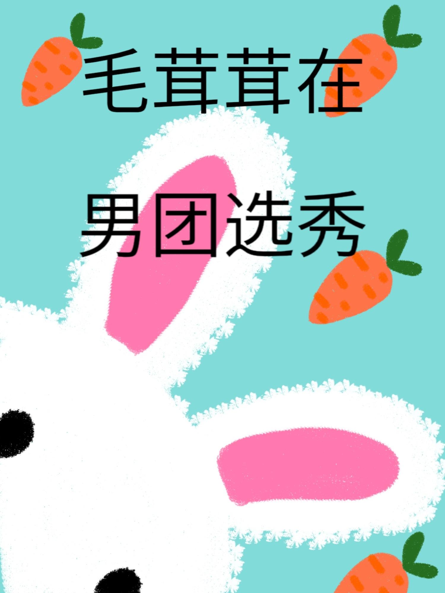 毛茸茸在男团选秀封面