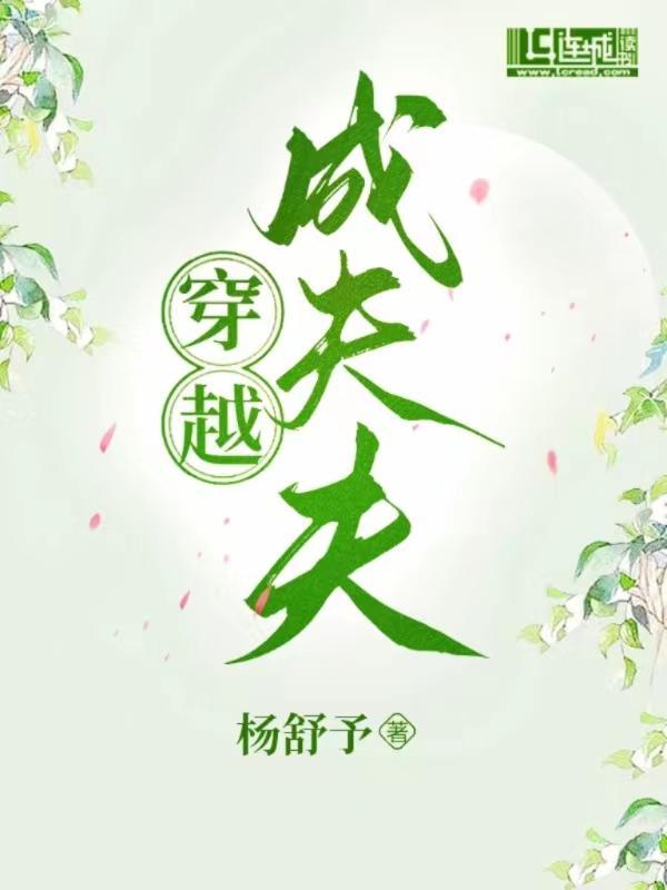 穿越成夫夫封面