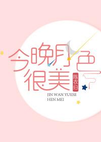 今晚月色很美封面