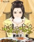 小妾不吃素封面