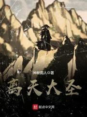 轩辕大宝封面