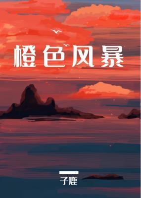 橙色风暴封面