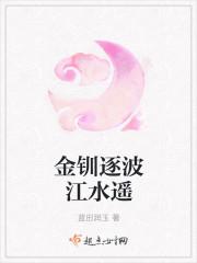 po18《金钏篇h》封面