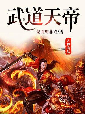 武道霸主封面